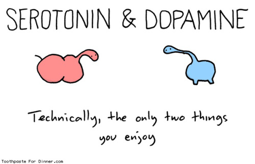 serotonin-and-dopamine.jpg