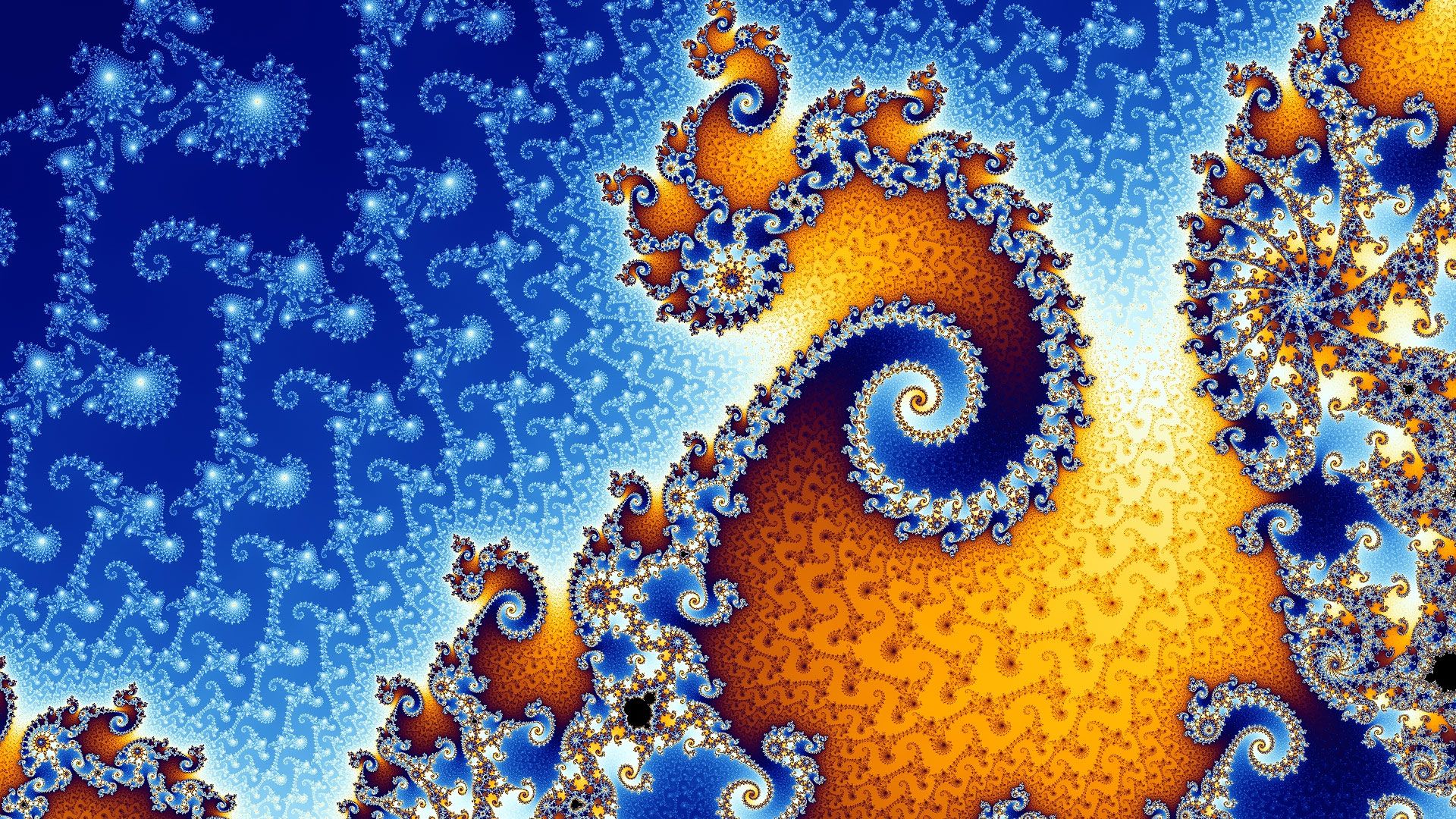 Podcast science 08 – L’accent fractal des baleines
