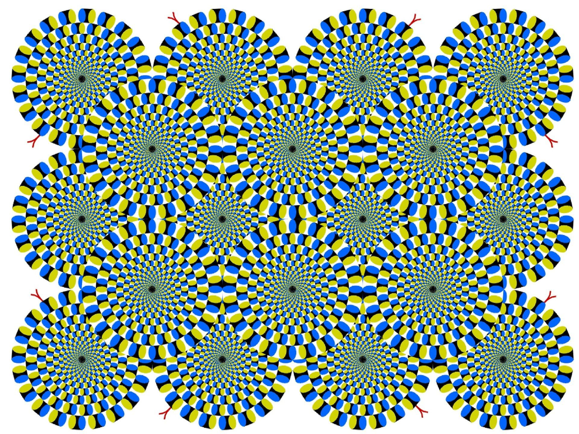 Seriously Trippy Eye Trick Optical Illusion 