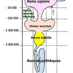 Evolution de l’homme