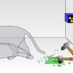 Chat de Schrödinger