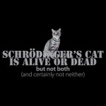 Chat de Schrödinger