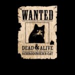 schrodingerscat