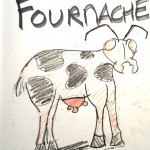 Illustration de Nico pendant la diffusion en Live: les fourmis élèvent leurs vaches!