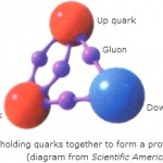 Gluon