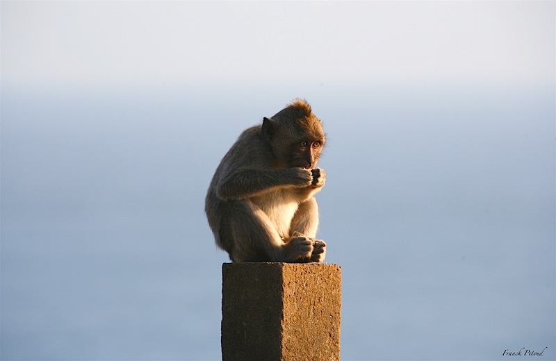 La science des introvertis