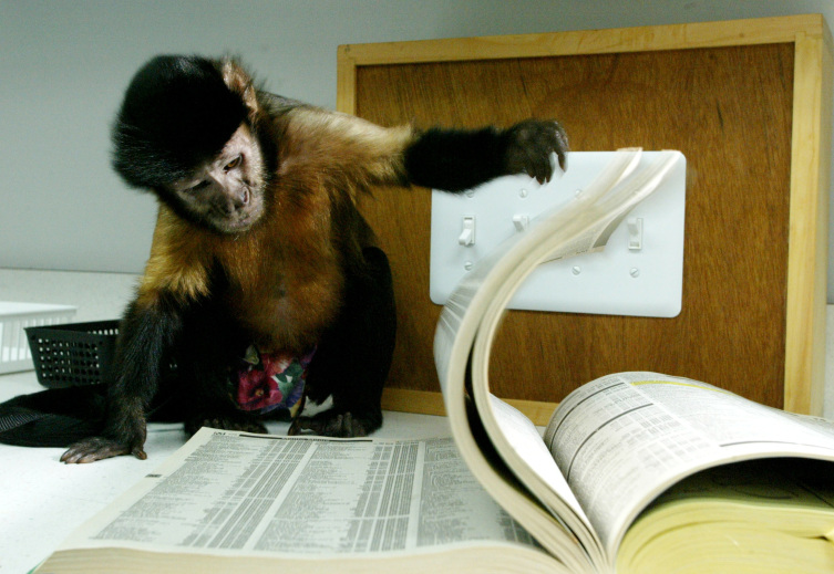 Podcast science 130 – La culture dans le monde animal
