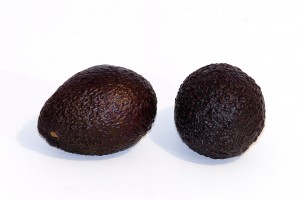 http://en.wikipedia.org/wiki/Hass_avocado
