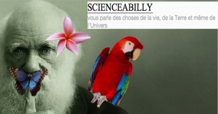 Podcast science 153 – Freestyle #2 avec Billie