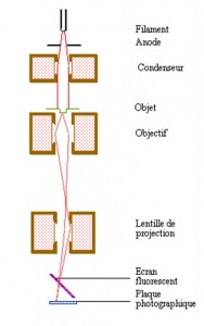 Figure 11 - Principe du microscope électronique Figure 11 - Principe du microscope électronique