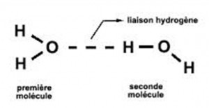 Figure 17 - La lisaison hydrogène