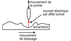 Figure 14.1 - Le STM