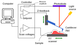 Figure 15 - Principe de l'AFM