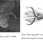 Figure 20