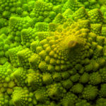 pates-courtes-chou-romanesco-sauce-citron