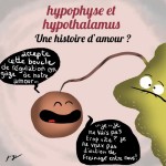 164-puyo2
