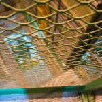 CERN_ALICE_DSC_4495