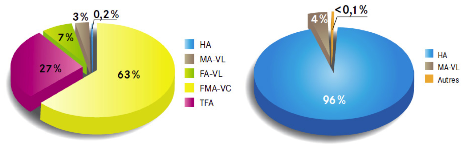 Gauche : Répartition, à fin 2010, du volume par type de déchets radioactifs produits en France. Droite : Répartition, à fin 2010, du niveau de radioactivité par type de déchets radioactifs produits en France. On distingue 4 niveaux d'activités différentes –haute activité (HA), moyenne activité (MA), faible activité (FA) et très faible activité (TFA) – et deux durées de vie –vie longue (VL) et vie courte (VC).