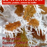 ps193_trufficulteur_no73.jpg