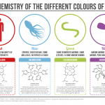 ps195_Chemistry-of-Blood-Colours-v2.3.png