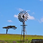 ps217_86-windmill-water-pump-werner-lehmann.jpg