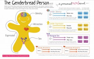 01 genderbread