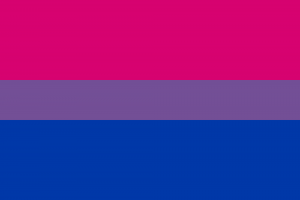 02 Drapeau Bisexuel