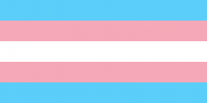 09 transgender flag