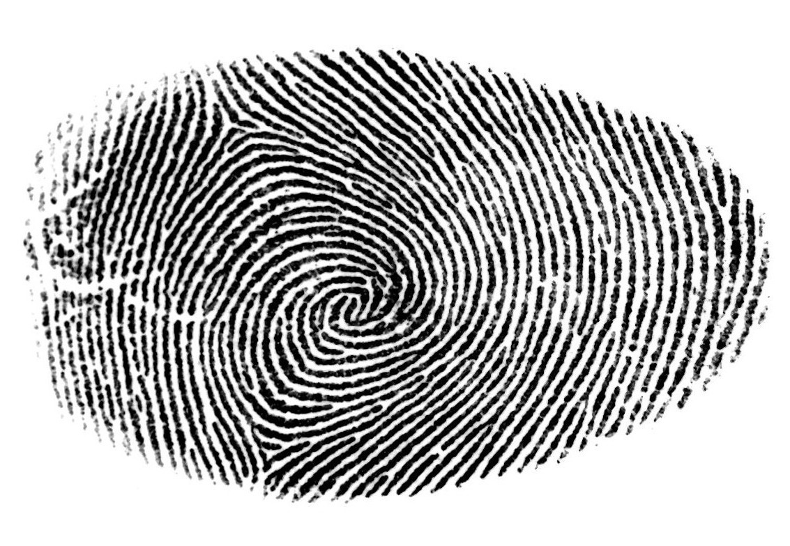 Les sciences forensiques