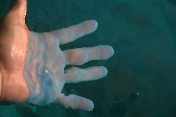 les participants doivent plonger leurs mains dans de l’eau très chaude,