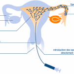 ps253_15a9a5283304e0dc1234c5b1ce521a40.png