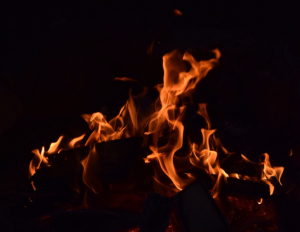 feu de bois