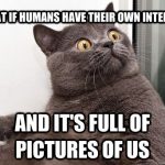 ps263_77b86eee645575d4ce5e5f84aece07c7.jpg