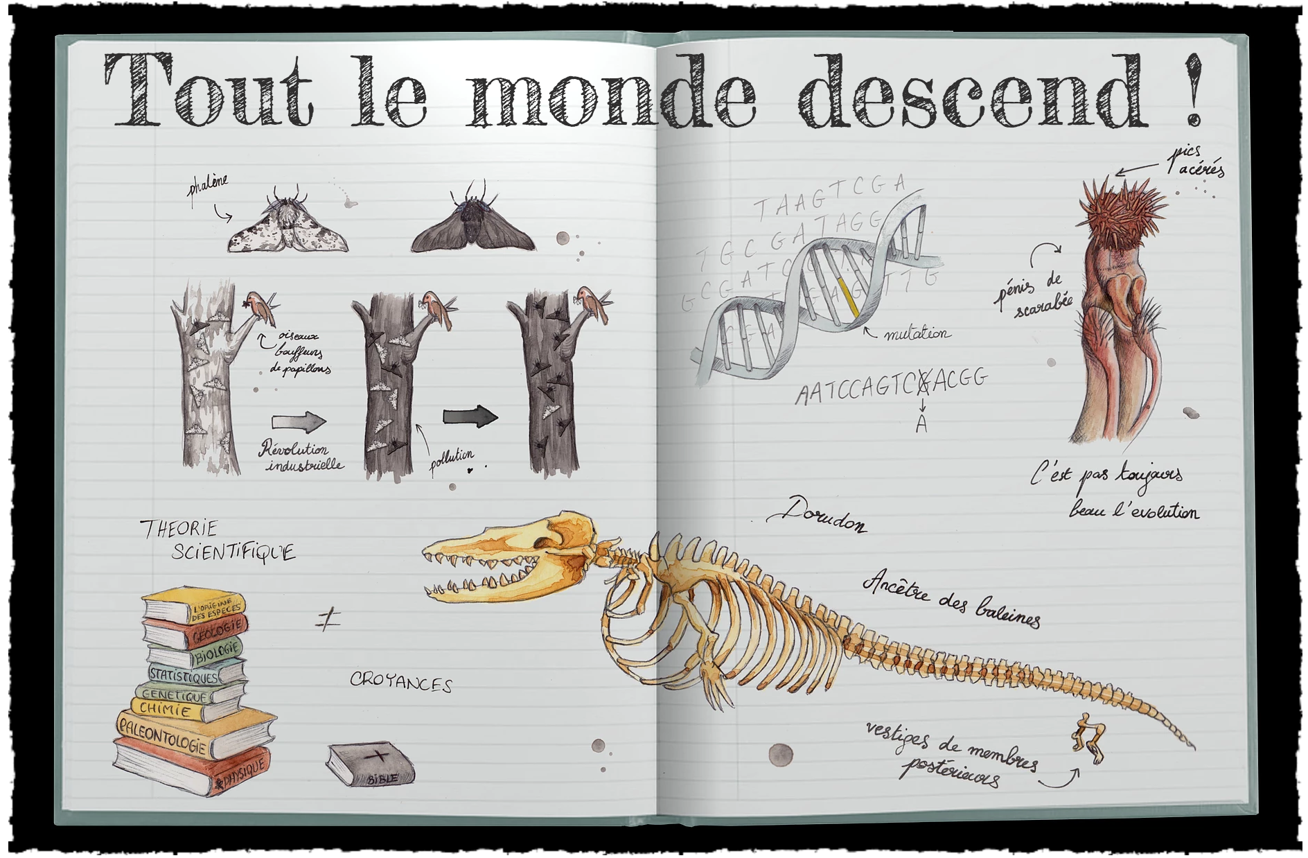 Podcast Science 270 – Roue libre avec Marie-Charlotte Morin