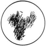 ps271_58e4437e96433a09b73203acd5a10901.gif