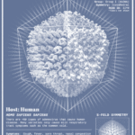 ps273_8570153c99c1d79f548d1332127e7caa.gif
