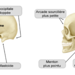 ps274_7b5abe8830bc129237ad4eff9158a446.png