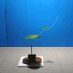 ps280_peapodrelax.gif