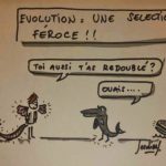 psJCDINO_C2s16wTWgAAn0Fq.jpg