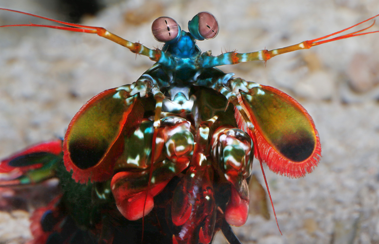 Podcast Science 302 – Roue libre : Hypatie, couleurs et nombre pi