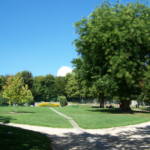 ps286_229d1ec1c7dbc001747600149e1180b8.png