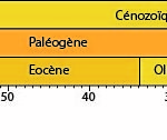 ps286_a06e80dddde6f75aafe1b74873eafef3.jpg