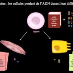 ps291_C7i_jzeXQAM8Pez.jpg