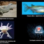 ps291_C7jGjESW4AMQR1v.jpg