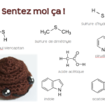 ps292_image-2-sentez-moi-ça.png