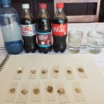ps296_IMG_0595.jpeg