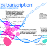 ps299_4.png
