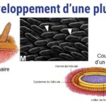ps301_Diapositive46.JPG