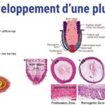 ps301_Diapositive49.JPG