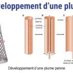 ps301_Diapositive53.JPG